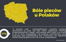 Ból pleców u Polaków - ciekawa infografika