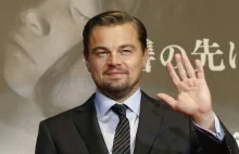 Leonardo DiCaprio przyjdzie do Poznania? To całkiem możliwe!