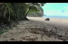dwóch kolesi siedzi dwa tygodnie na bezludnej wyspie na Filipinach