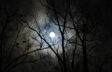 Pełnia Księżyca w Boże Narodzenie. Następna dopiero za 19 lat