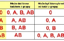 Jedz zgodnie ze swoją grupą krwi. Cztery grupy krwi, cztery diety