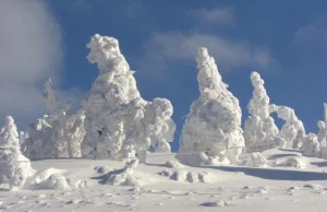 Juhyou - piękne śnieżne potwory z Japonii