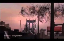 Putin objawił się nad Nowym Jorkiem