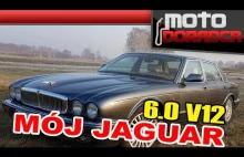 Jaguar XJ 6.0 V12 - to była prawdziwa motoryzacja!