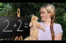 A delightful proof that 2+2=4