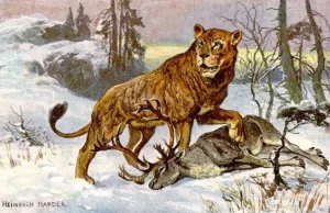 Naukowcy znaleźli na Syberii dwa zamrożone lwiątka. Zachował się każdy szczegół