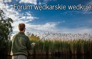 Reakcja forum wedkuje.pl na pastę o ojcu wędkarzu 2012 r.