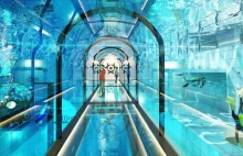 Oto najgłębszy basen na świecie. Znajduje się w Polsce i ma nawet pokoje...