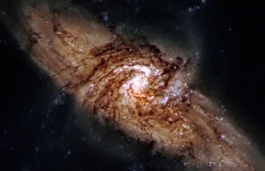 Bezgwiezdne galaktyki po raz pierwszy w zasięgu teleskopów