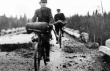 Wojna Lapońska między Finlandią, a Niemcami (1944-1945)
