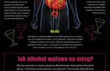 Jak alkohol wpływa na twój organizm?