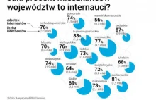Zaskakujące! Gdzie jest w Polsce najwięcej aktywnych internautów? Nie uwierzycie