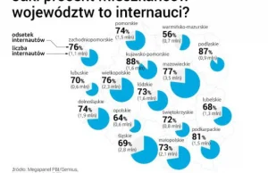 Zaskakujące! Gdzie jest w Polsce najwięcej aktywnych internautów? Nie uwierzycie