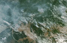 Płoną lasy Amazonii. Dym widać nawet z kosmosu