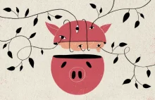 Naukowcy odkryli metdę utrzymywania mózgu świni przy życiu poza jej ciałem [ANG]