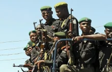 Nigeryjska amia: uwolniliśmy 20 zakładników Boko Haram