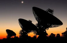 Naukowiec SETI: W ciągu najbliższych 20 lat odkryjemy pozaziemską inteligencję.