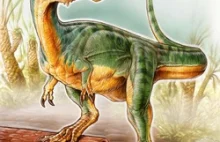 Nowy dinozaur zadziwił specjalistów