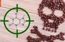 Kawa, kofeina - Mniej pozytywne skutki najpopularniejszej używki.