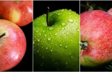 Jedzenie jabłek poprawia zdrowie
