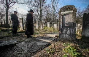 Cmentarz żydowski w Łodzi zdewastowany [ZDJĘCIA+FILM
