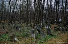 Żydowski cmentarz w Warszawie (foto)