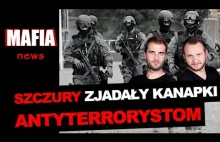 Szczury zjadały kanapki antyterrorystom!