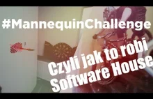 #mannequinchallenge - eEngine Software House