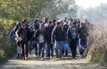 Premier Holandii krytykuje Europę Wschodnią w kwestii imigrantów