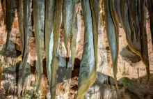 Jaskinia Postojna to najpiękniejsza jaskinia na Bałkanach