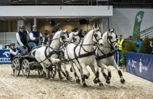 Pierwszy dzień Cavaliady Poznań 2016 pełen pięknych emocji – ZDJĘCIA –