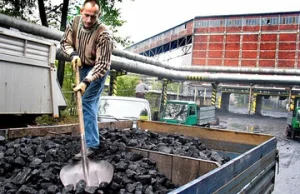 Ceny węgla w górę i furtka dla oszustów. Zobacz, co szykuje rząd