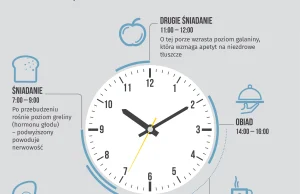 Co się dzieje w naszym organizmie w ciągu doby? [infografika]