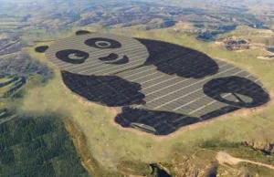 Chiny zbudowały elektrownię słoneczną w kształcie pandy <3
