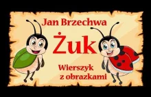 Żuk - Jan Brzechwa - wierszyk, bajka animacja dla dzieci