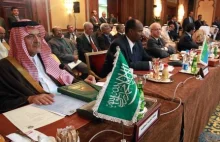 Liga Arabska poprosi o wysłanie wojsk do Syrii