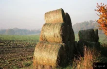 Październikowe mgły na Śląsku