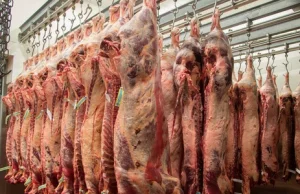 Kolejny kraj zakazał importu polskiego mięsa