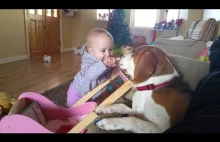 Upierdliwe dziecko i mega cierpliwy pies