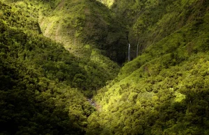 Galeria zdjęć z tropikalnej wyspy Kauai