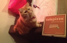 Telepizza - niezadowolony klient