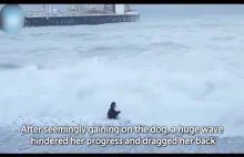 Właściciel psa ryzykuje życiem, aby go uratować