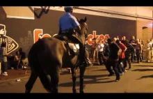 Policyjny konik w Nowym Orleanie czuje rytm :)