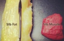 Prawdziwa różnica między objętościami tłuszczu i mięśni.