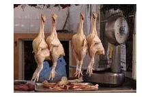 Kurczaki karmione prozakiem, arszenikiem i innymi substancjami trafiają na stół.