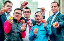Chiny nareszcie zjedzą polskie jabłka