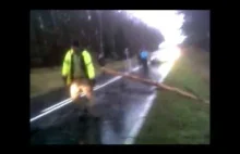Padają drzewa od halnego na trasie 160 Dobiegniew Choszczno