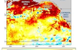 Tajemnicza masa ciepłej wody na Pacyfiku rozregulowuje klimat zachodniego USA