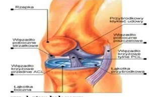Jak dochodzi do zerwania więzadła krzyżowego przedniego (ACL) kolana?