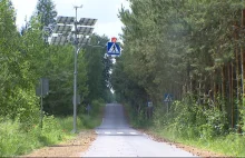 Oświetlone przejście dla pieszych wśród pól i lasów. "Zbudowane dla saren"...